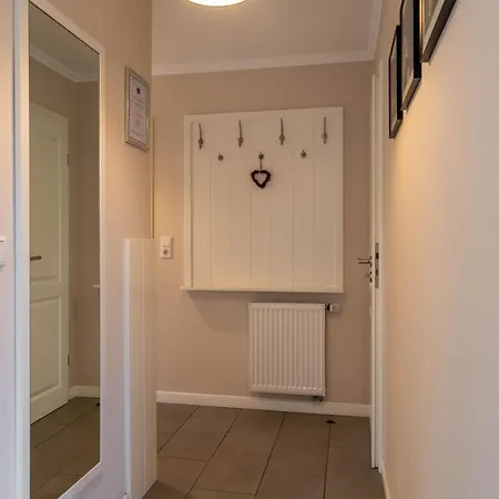 Seeschwalbe Sudstrand