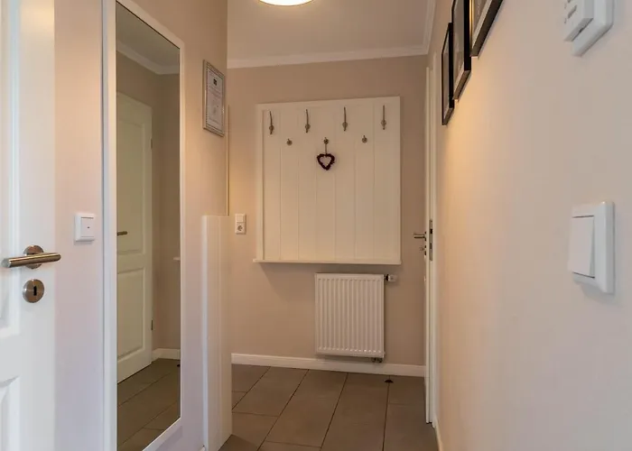 Seeschwalbe Sudstrand