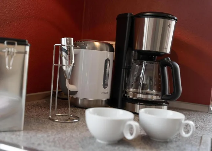 Seeschwalbe Sudstrand